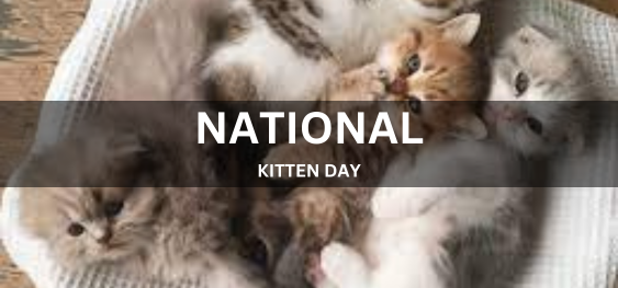 NATIONAL KITTEN DAY [राष्ट्रीय बिल्ली दिवस]